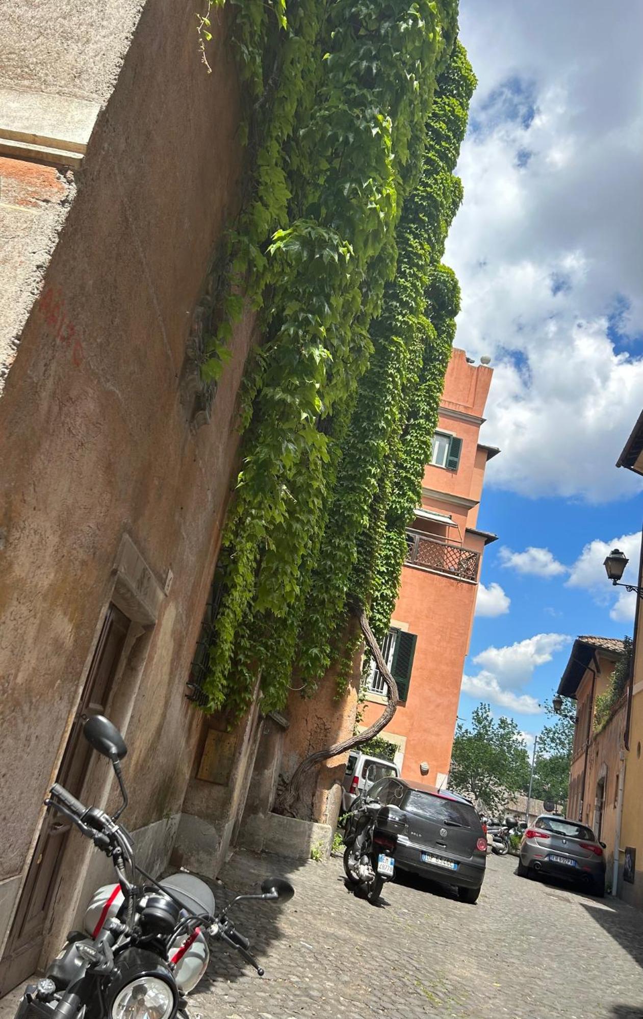 Garden House Trastevere Rome Exterior photo